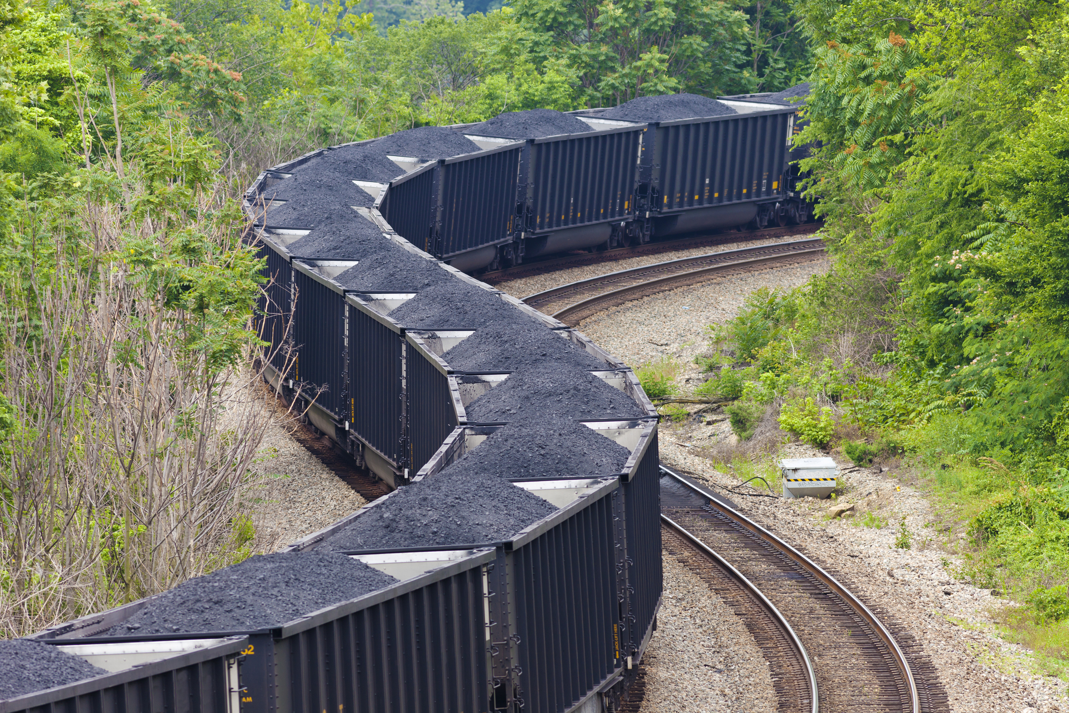 Blue Ridge Coal Company's coal loaded into a train